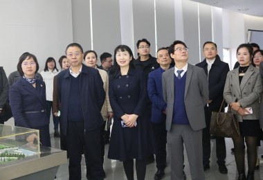 華時(shí)捷科技參加湘江新區(qū)“結(jié)伴同行·海外領(lǐng)秀”座談會(huì)，共謀國(guó)際化發(fā)展新路徑